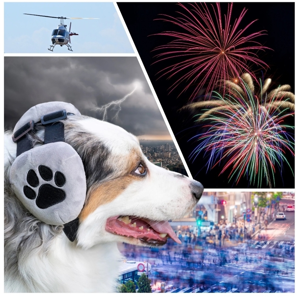 Dog Ear Muffs Noise Protection Cancelling Headphone Aniexty Loud Noise Large NEW - Picture 4 of 10